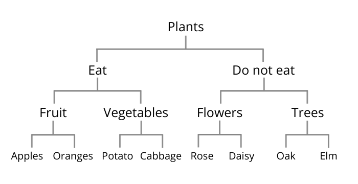 A word map showing types of plants. At the top is 'plants', split into 2 groups: 'eat' and 'do not eat'. Under 'eat' is 'fruit' (apples and oranges) and 'vegetables' (potato and cabbage). Under 'do not eat' is 'flowers' (rose and daisy) and 'trees' (oak and elm).
