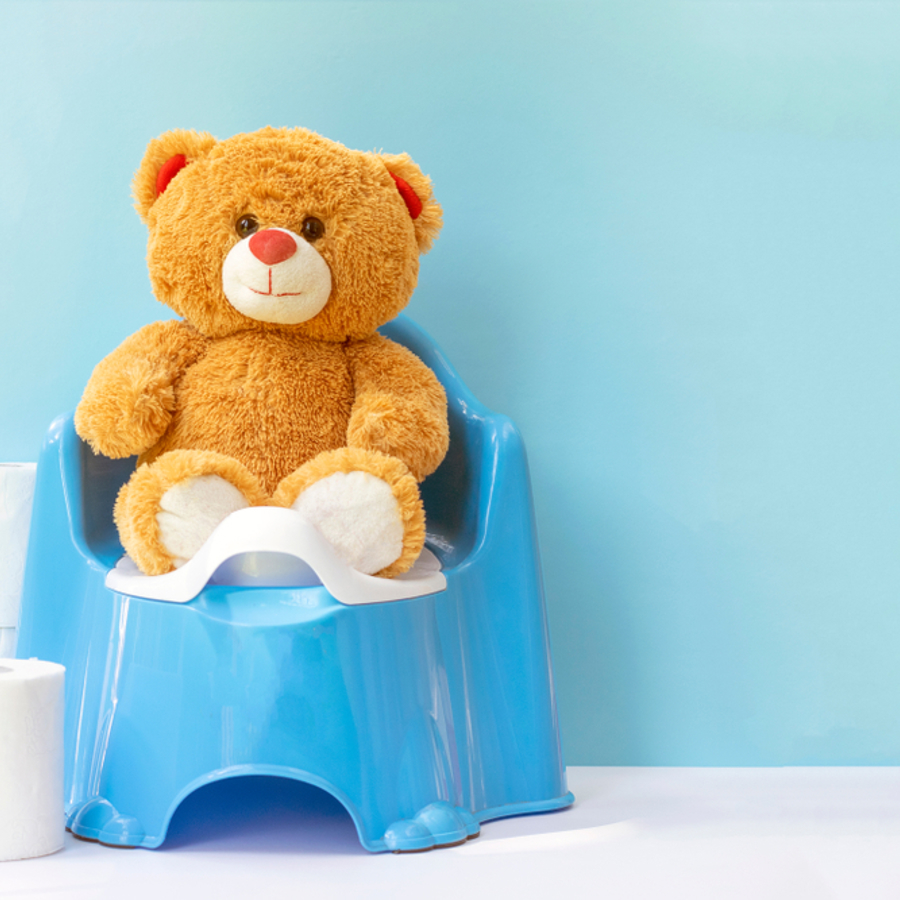 A teddy bear sitting on a potty with a stack of toilet roll next to it. 